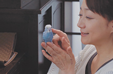 [映画のワンシーン] 敦美とインコ